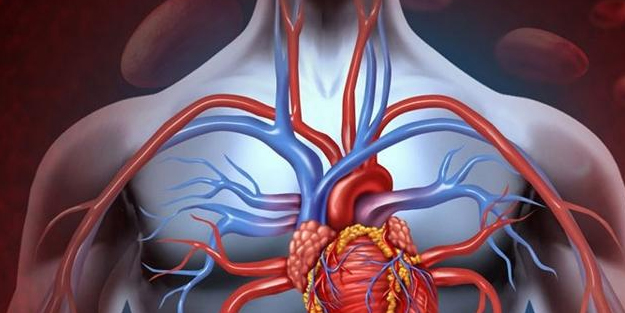 Uzmanlardan telefon bağımlılığına dikkat uyarısı! Kardiyovasküler hastalıkları (Mesleki kas ve iskelet sistemi) erken yaşlara çekiyor!