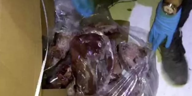 Uzmanlar uyardı ! ''Çin ciğeri'' alarmı verildi
