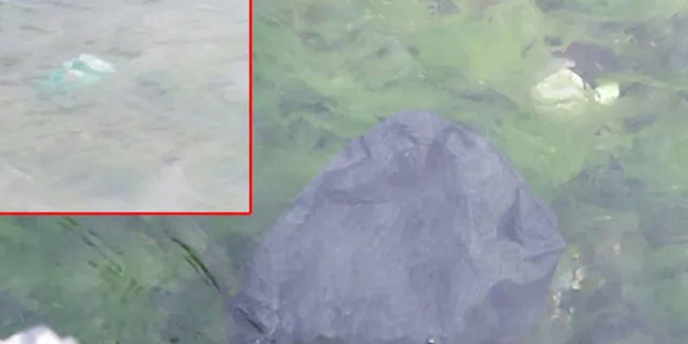 Uzmanlar uyardı: Hemen ama hemen bundan uzaklaşın, dikkate alın! Marmara'da denize girenler