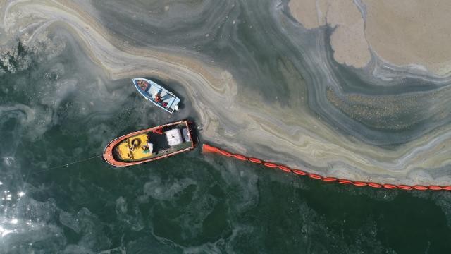 Uzmanlar uyardı: Yeni bir müsilaj oluşumuyla karşılaşabiliriz