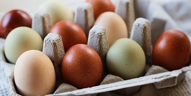 Uzmanlar yumurtayı çocuklara sevdirmenin yolunu anlattı