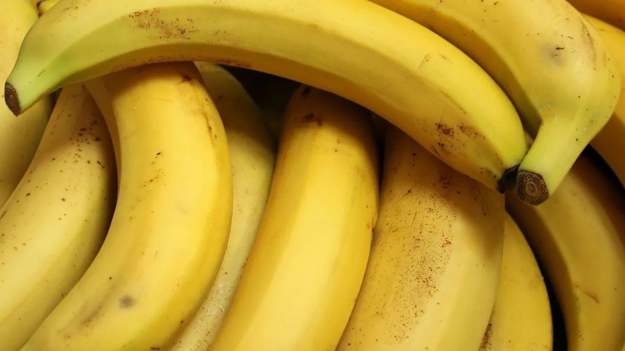 Uzmanlardan 2024'ün uyarısı! Buzdolabınd