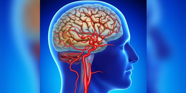 Uzmanlardan kritik uyarı! Şah damarını tıkıyor