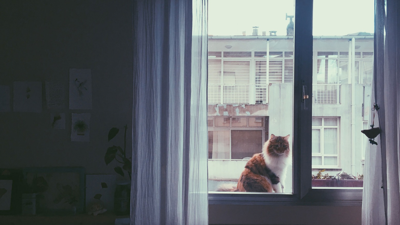 Uzmanlardan şaşırtan çağrı: Perdenizi kapatmayın!