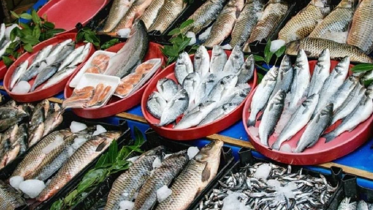 Uzmanlardan uyarı: Hamsi, palamut ve istavrit yiyenler tehdit altında