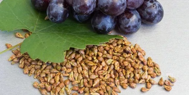  Üzüm çekirdeği antioksidandır