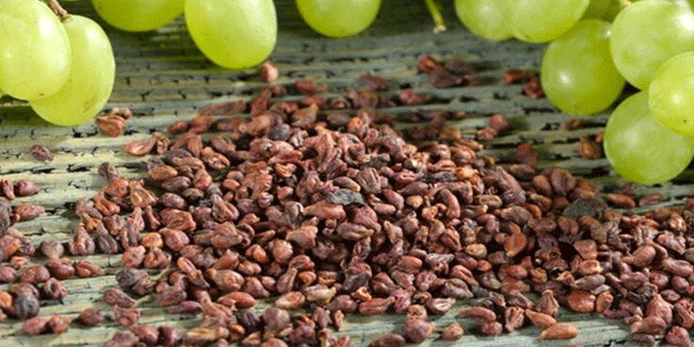 Üzüm çekirdeği nelere iyi gelir? Üzüm çekirdeğinin inanılmaz faydaları!