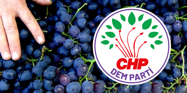 Üzüm üzüme baka baka kararırmış! CHP de kararmaya başladı