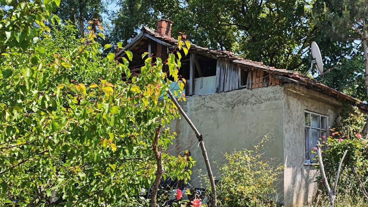 Üzüm yaprağı toplarken az daha canından oluyordu!