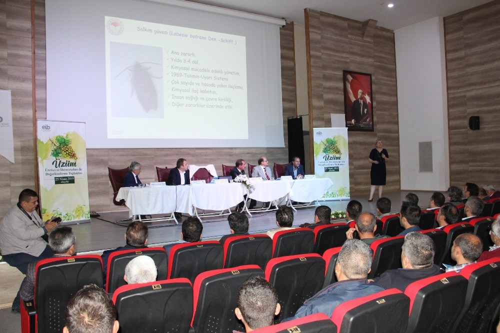 Üzümün geleceği ve sorunları Alaşehir’de konuşuldu 