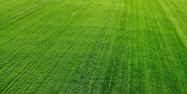 Uzun süre sonra güzel haber! Türkiye büyük bir dertten kurtuldu