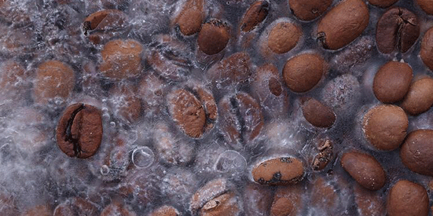 Uzun yaşamanın sırrı bu besinlerde! Ölüm riskini yüzde 30 düşürüyor