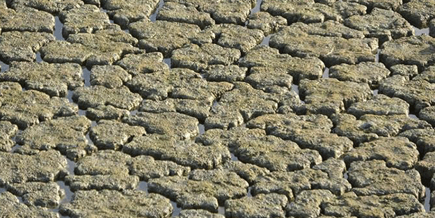 Uzunhızırlı Göleti kurudu, kuşlar bölgeyi terk etti