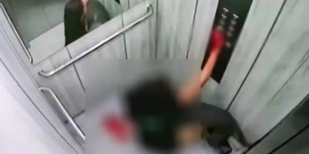 Vahşet: 'Bebek bakıcısı' diye güzellenen pitbull, asansörde sahibini parçaladı!