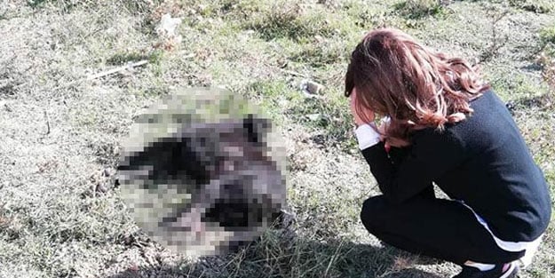 Vahşet! Bekçi köpeğini av tüfeğiyle öldürdü