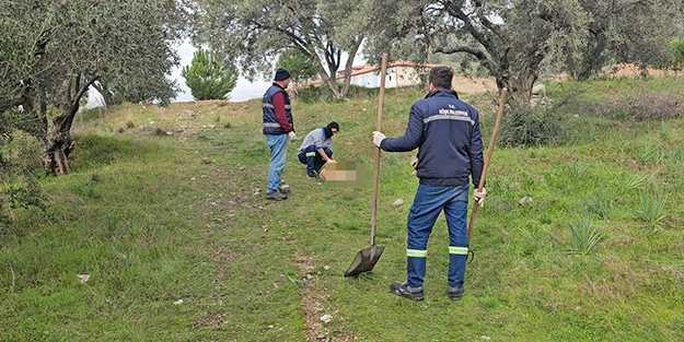 Vahşet! Bunu yapan insan olamaz: Görenlerin içini acıttı!