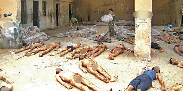 Vahşetin yeni fotoğrafları