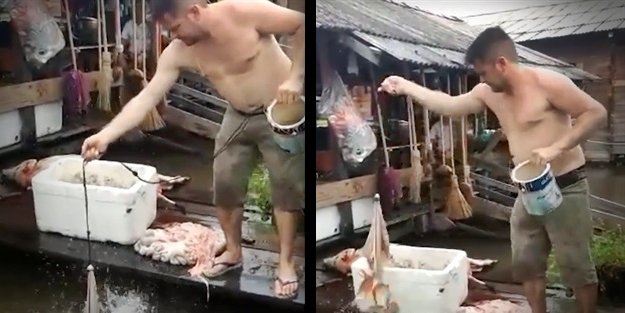 Vahşi piranaları bakın nasıl avladı!