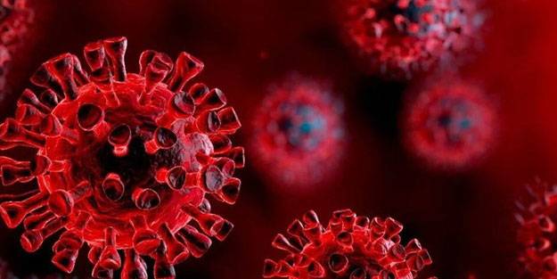 Vaka sayıları arttı! İşte sağlığınızı korumanın yolları