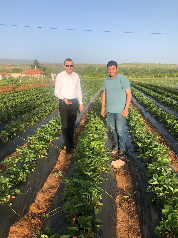 Vakıflar Genel Müdür Yardımcısı Ökten Hüyük’ü ziyaret etti 
