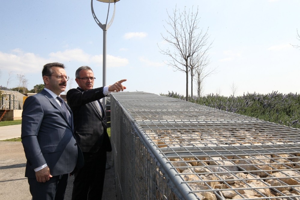 Vali Aksoy Eskihisar Millet Bahçesini inceledi 
