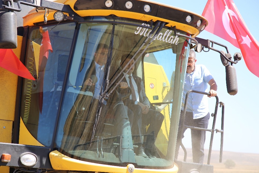 Vali Balcı biçerdöverle hasat yaptı 