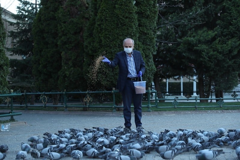 Vali Çakacak, sokak hayvanlarını besledi 