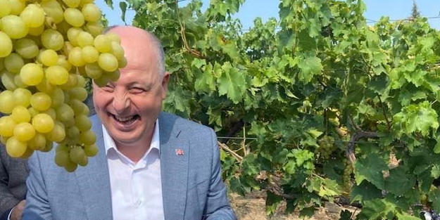 Vali Coşkun bağdan üzüm hasadı yaptı