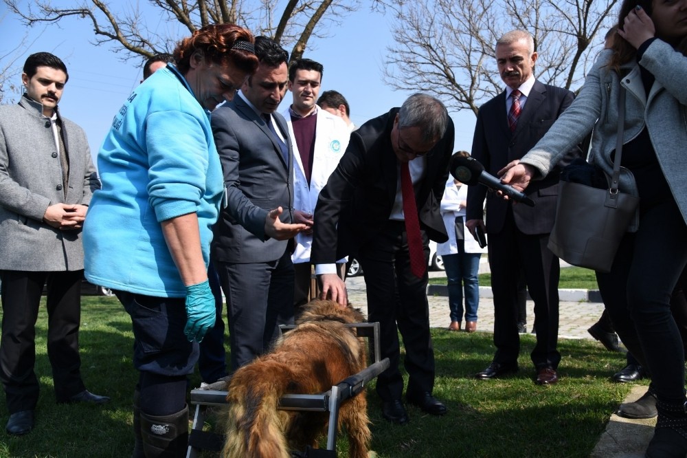 Vali Deniz’den tam not