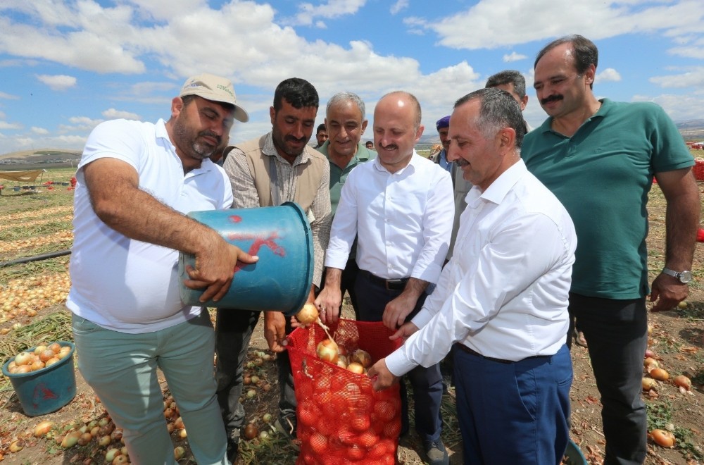 Vali Varol’dan soğan ve patates hasadı yapılan arazilerde inceleme 