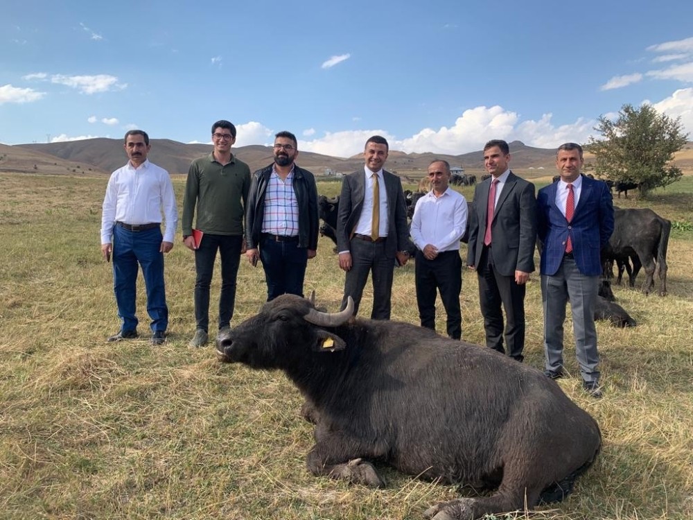 Vali Yardımcısı Gölbaşı’dan Yüksekova’ya ziyaret 