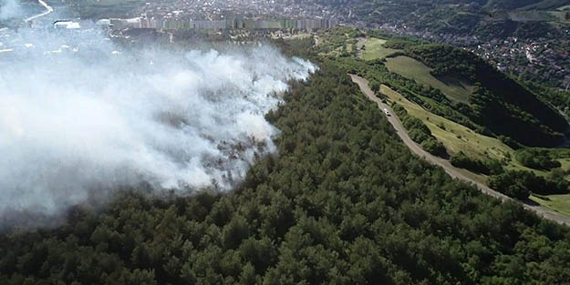 Valilik duyurdu! Ormanlara giriş yasaklandı