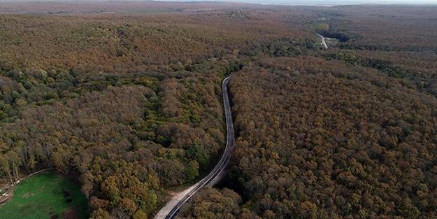 Valilik resmen duyurdu: Ormanlara giriş yasaklandı