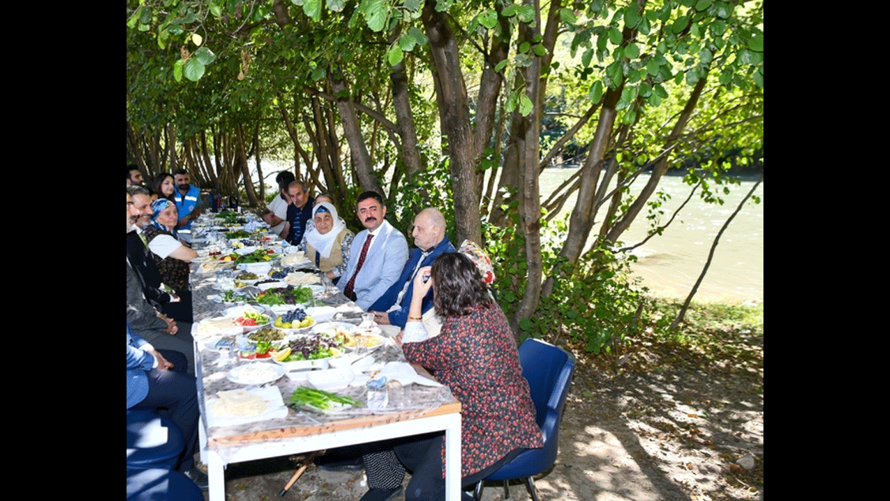 Valilik yaşlıları doktor kontrolünde evlerinden alıp doğayla buluşturuyor