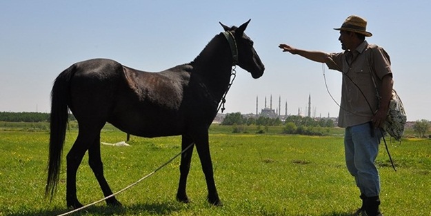 Valilik'ten 5 bin lira maaş alıyor