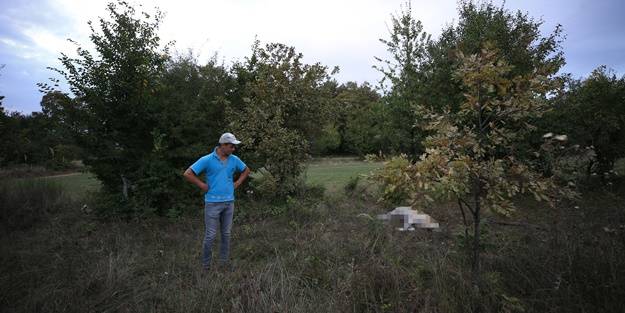 Valilikten, köpeği telef ettiği öne sürülen muhtara soruşturma