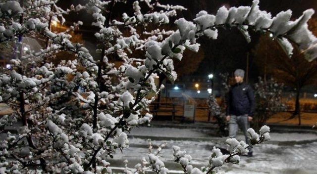 Van Bahçesaray yolu ulaşıma kapandı