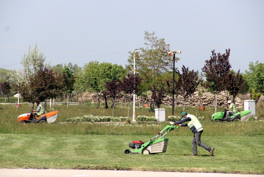 Van Büyükşehir Belediyesi park bakımlarına devam ediyor 