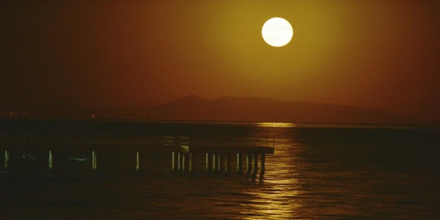 Van Gölü'nde hayran bırakan kareler!