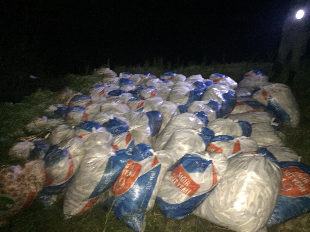Van Gölü’nde kaçak avlanmış 16 ton ölü balık ele geçirildi 