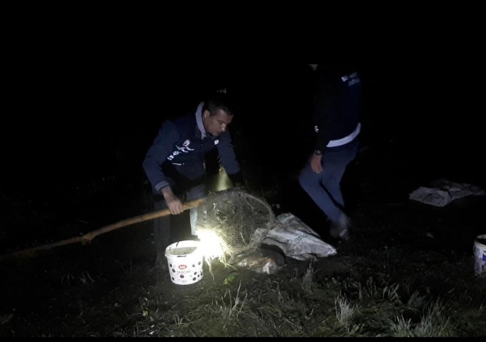 Van Gölü’nde kaçak balık avcılığı 