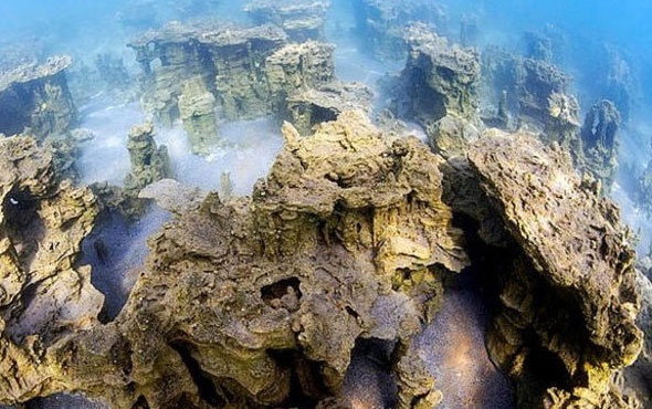 Van Gölü'nde yeni bir balık türü keşfedildi