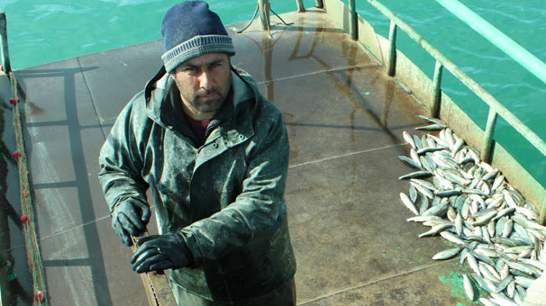 Van Gölü'nden çıkıyor! Artık drone ile korunacak