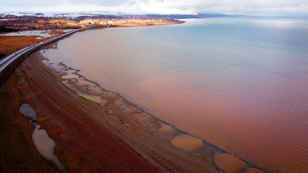 Van Gölü'nün rengi bu hale döndü!
