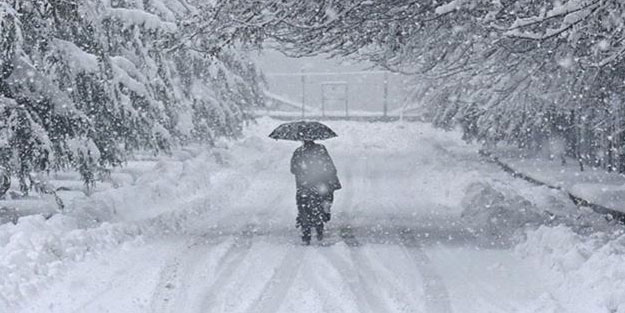 Van, Hakkari, Bitlis ve Muş'ta kar yağışı