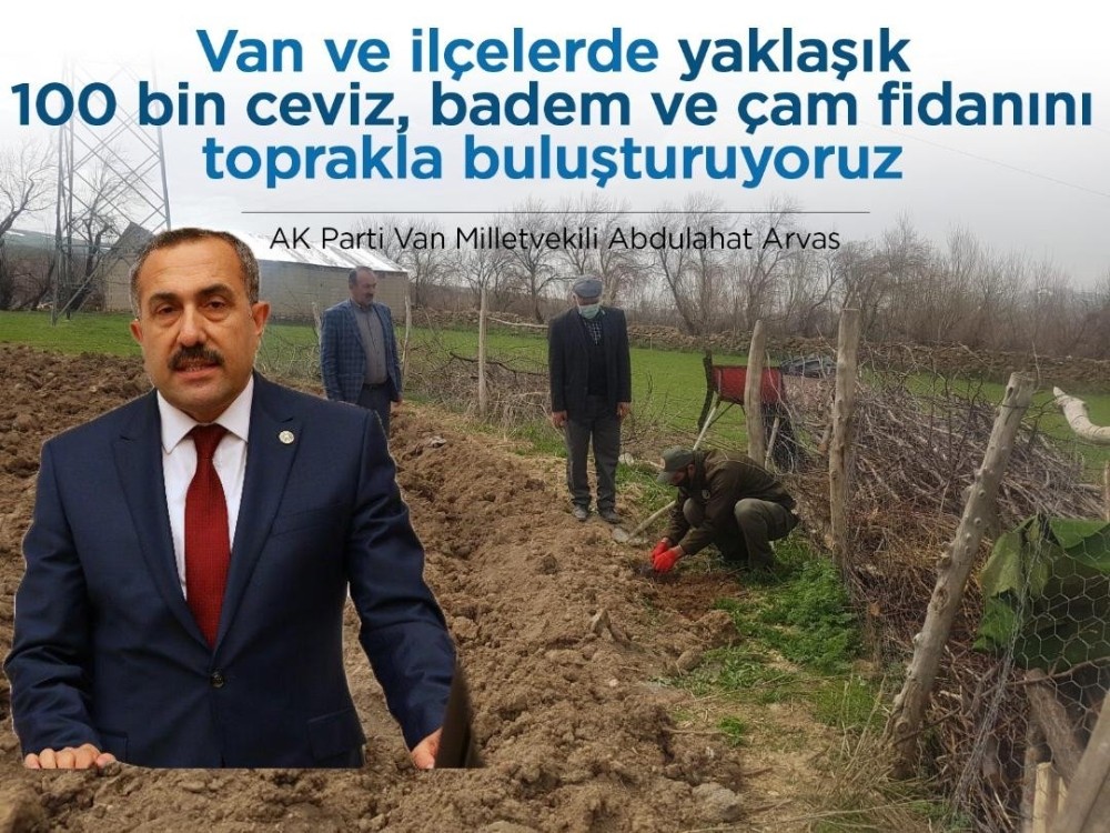 Van Milletvekili Arvas: “Yaklaşık 100 bin fidanı toprakla buluşturuyoruz” 