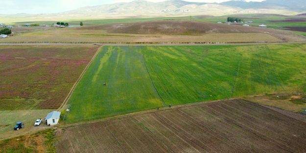 Van-Özalp'ta 1500 ton arpa hasadı bekleniyor