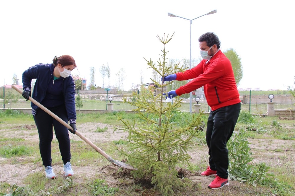 Van`da 14 günlük karantinada kalanlar fidan dikti 