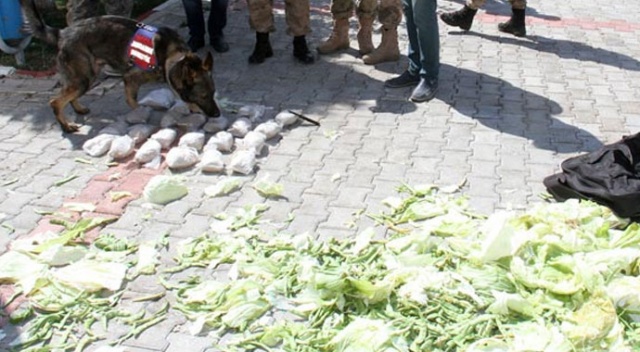 Van'da 15 kilogram eroin ele geçirildi