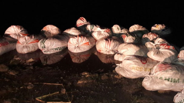 Van'da 2 ton 800 kilo inci kefali balığı ele geçirildi